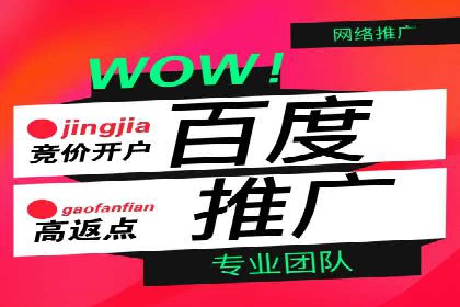 实战解析：百度竞价排名服务成功案例
